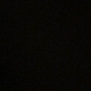 Meet your Posher, Lou